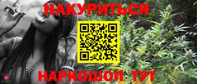 индика Краснознаменск