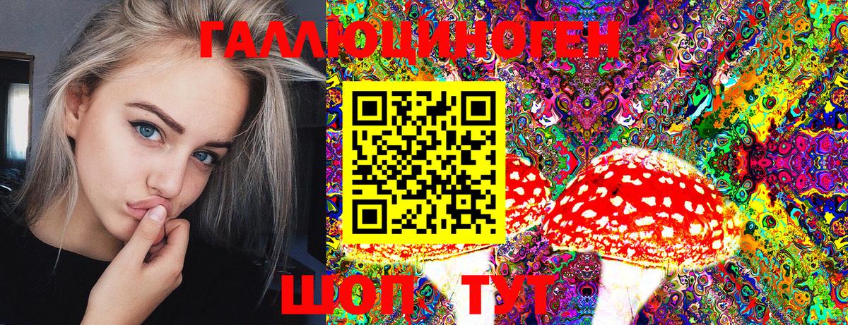 Псилоцибиновые грибы MAGIC MUSHROOMS  Галлюциногенные грибы Psilocybe  Вход с VPN  Ковров 